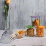 ظرف نگهدارنده پاشاباغچه