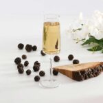 گیلاس شامپاین خوری آیکونیک پاشاباغچه Iconic