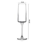 گیلاس شامپاین خوری آیکونیک پاشاباغچه Iconic